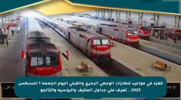 قفزة في مواعيد قطارات الوجهي البحري والقبلي اليوم الجمعة 1 أغسطس 2025.. تعرف على جداول المكيف والروسية والتالجو